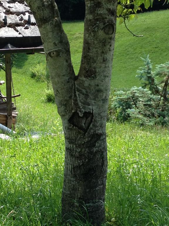 Casa Mia Villa Egg Oda fotoğraf